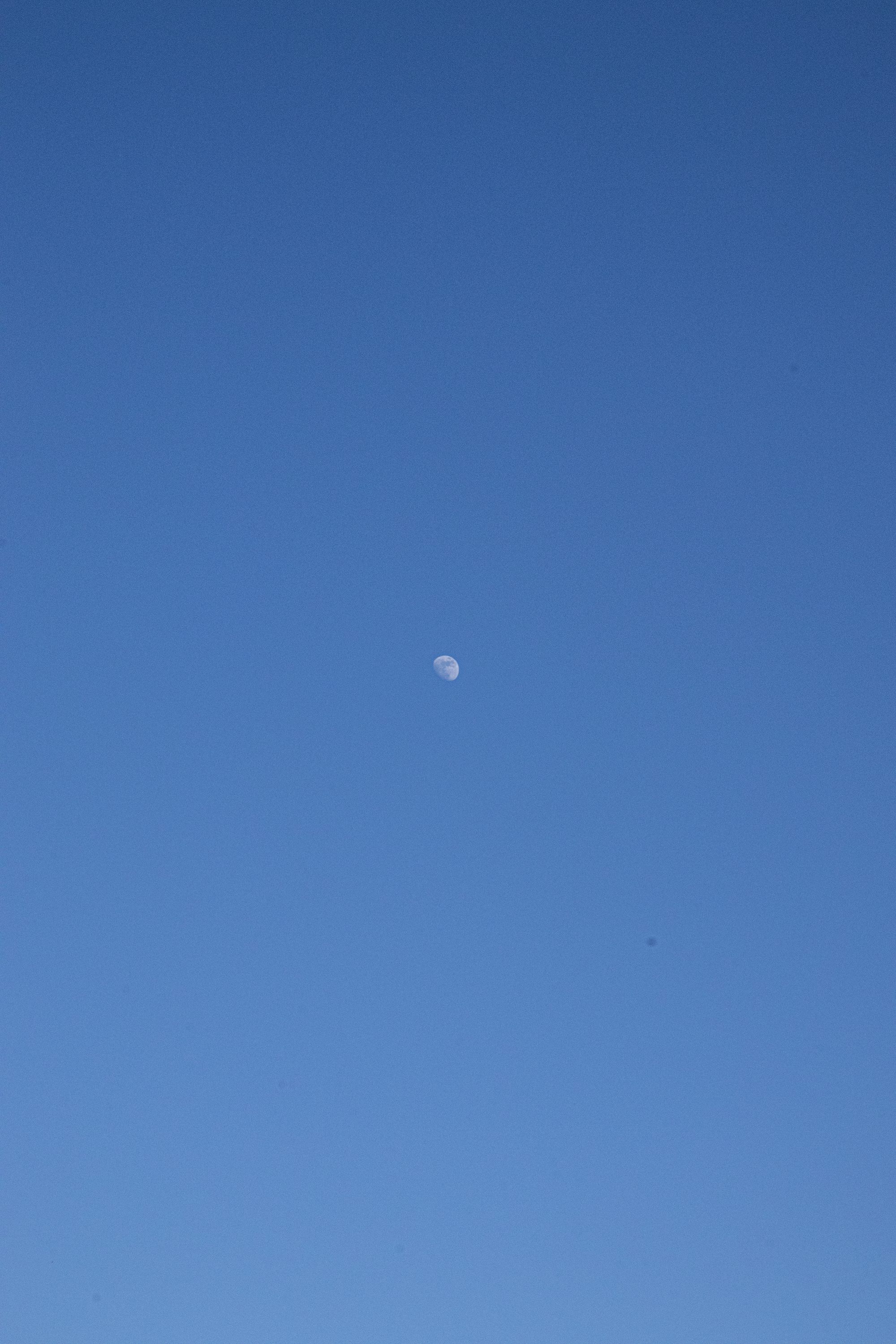 blue sky with white clouds