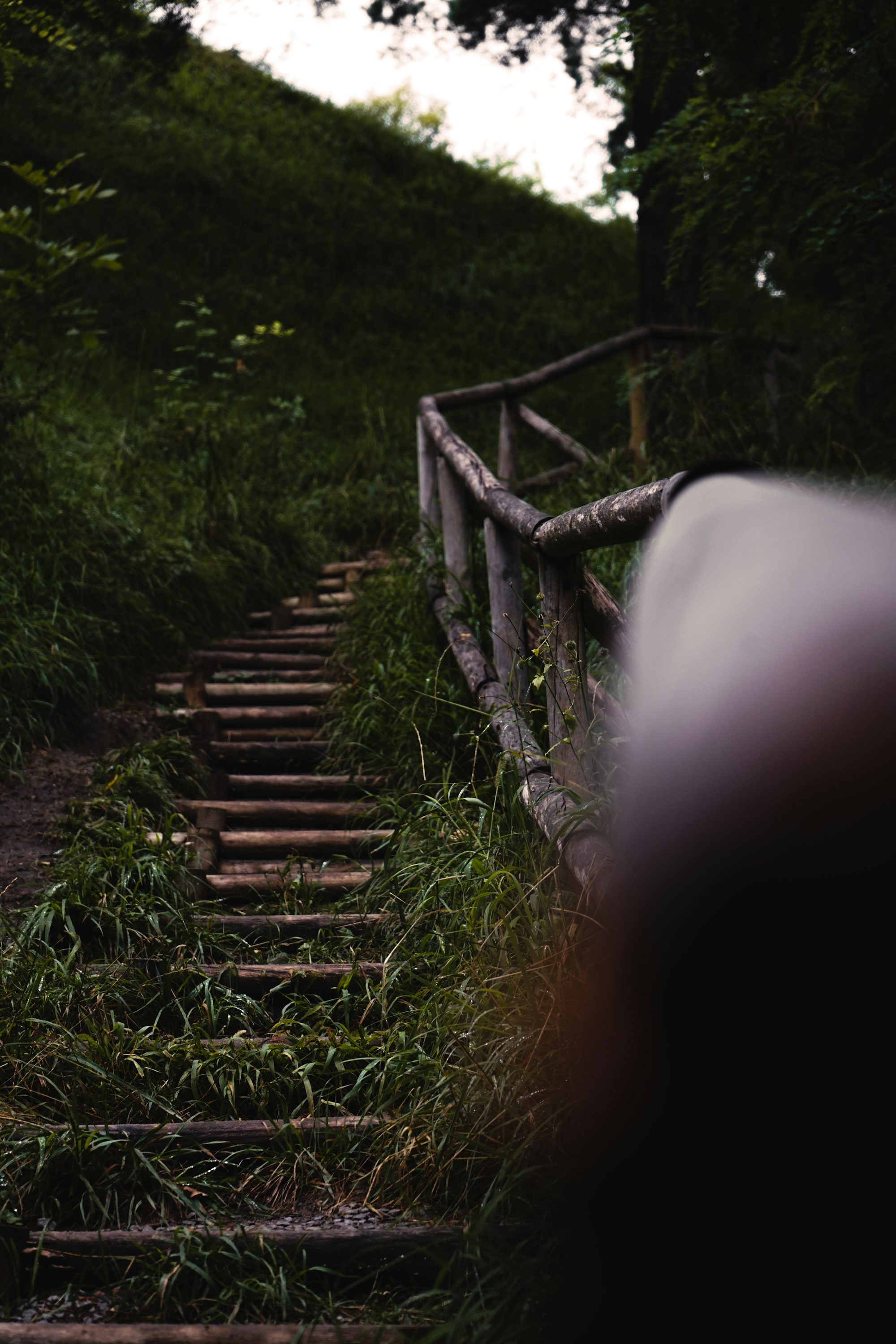 a set of wooden stairs going up a hill